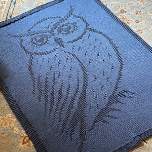 May include: A blue knitted blanket featuring an owl design. The owl is outlined in a darker blue yarn.