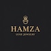 hamza hussain mirza