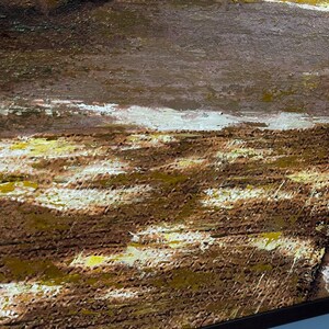May include: An abstract oil painting on canvas featuring thick, textured brushstrokes in shades of deep brown, earthy ochre, and bright white. The paint application creates a layered, rugged surface with visible impasto techniques throughout.