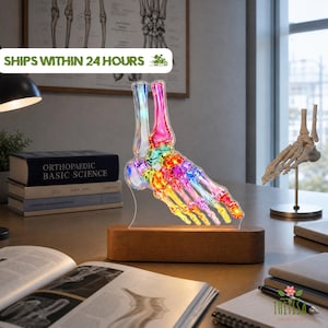May include: A multi-colored, translucent acrylic foot skeleton display piece mounted on a rectangular wooden base. The skeletal structure features a vibrant gradient of red, orange, yellow, green, blue, and purple hues, illuminated from within the base.
