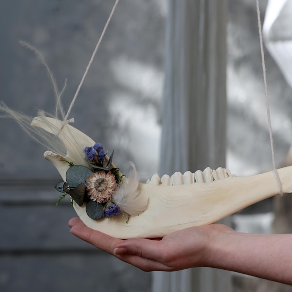 Real Cow Jaw Bone Wall Decor, Dried Flower Bone Art, Gothic Cottagecore Oddity Hanging