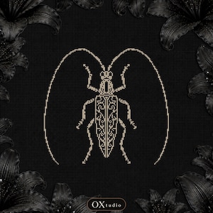 May include: A cross-stitch pattern featuring a beige, ornate, long-horned beetle design centered on a black grid fabric. The beetle has intricate filigree-like details on its wings and long antennae. The text OXtudio is visible at the bottom.