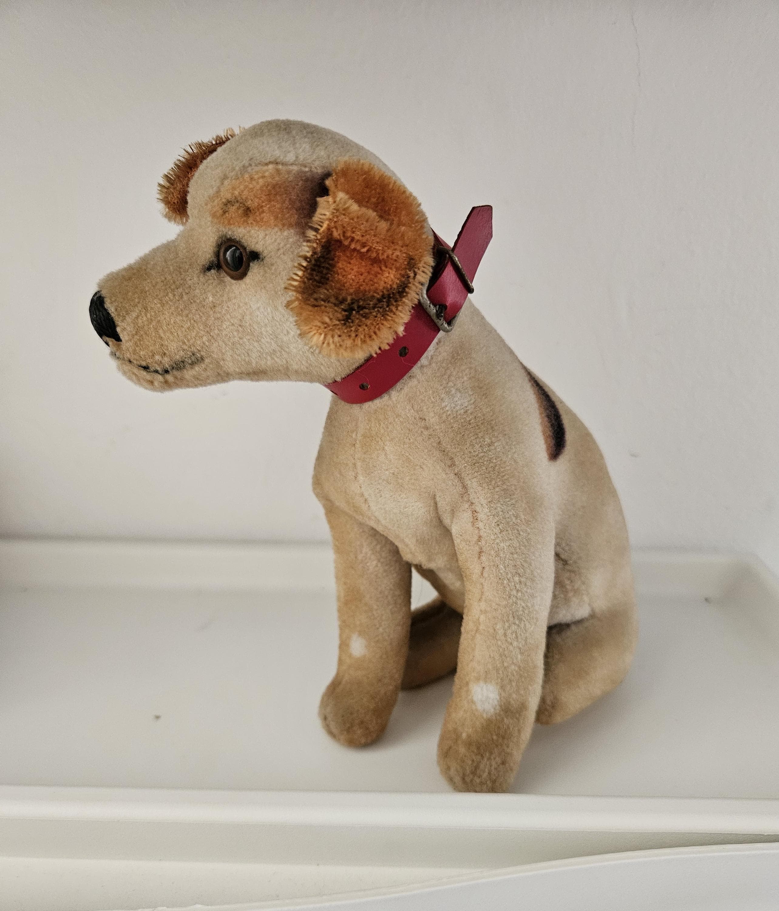 アンティーク シュタイフ犬 - Etsy 日本