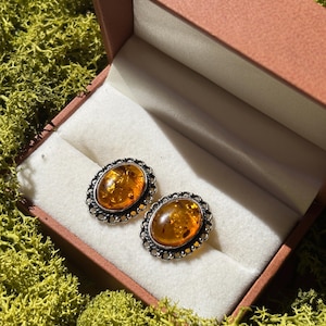 May include: A pair of oval amber-colored earrings with a silver-colored filigree border, presented in a peach-colored jewelry box with a white interior. The earrings are set against a backdrop of green moss.