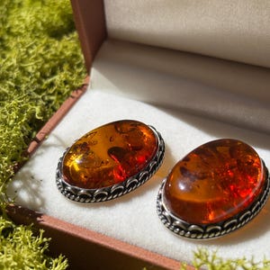 May include: A pair of oval amber earrings with a silver filigree border, displayed in a brown jewelry box with a white interior. The amber stones have a warm, reddish-orange hue. The background features green moss.