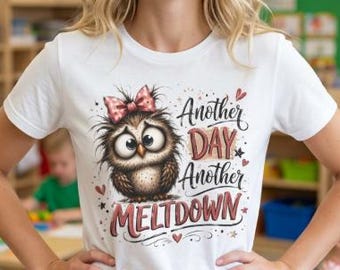Funny Teacher Shirt for Overwhelmed Educator Another Day Another Meltdown Cute Owl Graphic Teacher Burnout Gift Teacher Appreciation Shirt