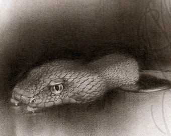 Martinefa's original drawing, presented in a custom frame - "SERPENT" (Snake)