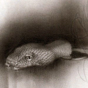 Martinefa's original drawing, presented in a custom frame SERPENT Snake image 1