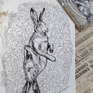 Dessin original de Martinefa à l'encre - "HARES" (Lièvres)
