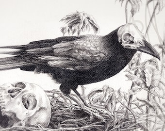 Martinefa's original drawing - Dark Bird "NID DU CORBEAU" (the crow's nest)