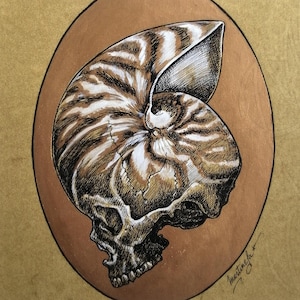 May include: An intricate drawing combining a nautilus shell and a human skull, using brown, white, and black tones. The artwork is presented on a gold background, framed by a copper-coloured oval. Includes the artist's signature.