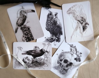 Lot of five Martinefa&#39;s Postcards &quot;DARK BIRDS&quot; - 14,8 x 10,5 cm
