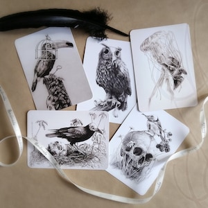 Lot de cinq cartes postales Martinefa "DARK BIRDS" - 14,8 x 10,5 cm