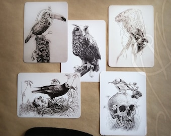 Lot of five Martinefa&#39;s Postcards &quot;DARK BIRDS&quot; - 14,8 x 10,5 cm