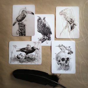 Lot de cinq cartes postales Martinefa "DARK BIRDS" - 14,8 x 10,5 cm