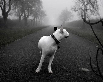Fine Art Photograph &quot;ONE WAY&quot; - 8x10 (20 x 27 cm) - Home decoration