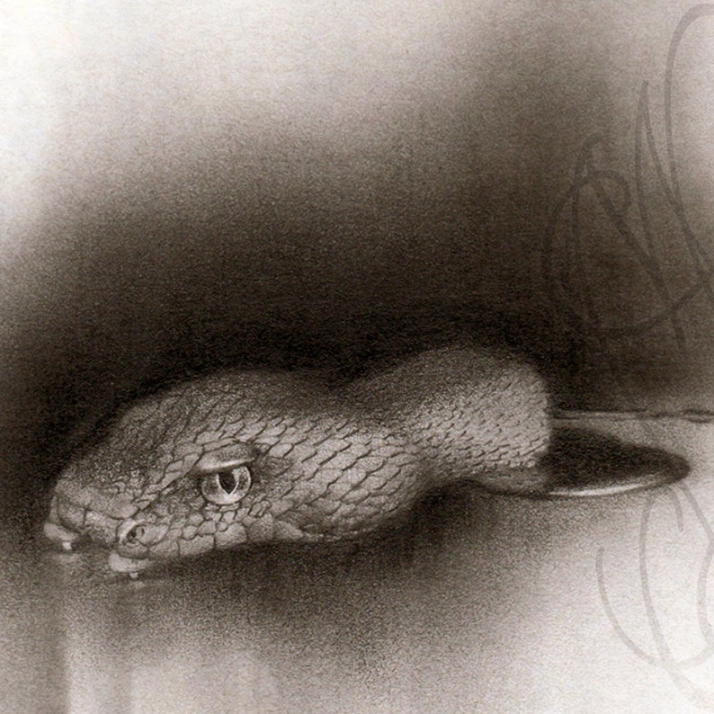 Martinefa's original drawing, presented in a custom frame SERPENT Snake image 1