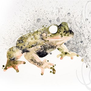 Puede incluir: Pintura a la acuarela de una rana en tonos verdes, marrones y negros. La rana tiene grandes ojos blancos y se encuentra sobre un fondo blanco con salpicaduras grises. La obra de arte tiene un estilo art&iacute;stico texturizado.