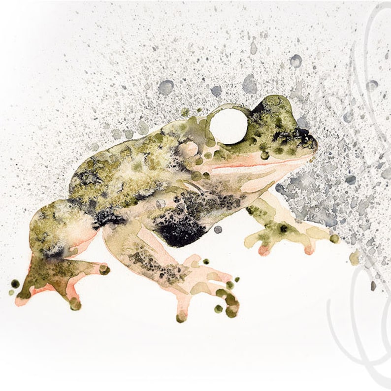 Puede incluir: Pintura a la acuarela de una rana en tonos verdes, marrones y negros. La rana tiene grandes ojos blancos y se encuentra sobre un fondo blanco con salpicaduras grises. La obra de arte tiene un estilo art&iacute;stico texturizado.