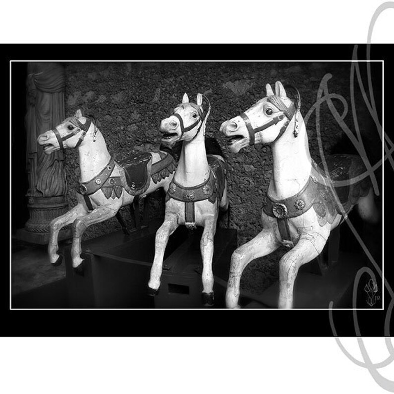 May include: Black and white image of three antique carousel horses. The horses are painted white with decorative saddles and harnesses. The horses are arranged in a row, with their heads turned slightly.