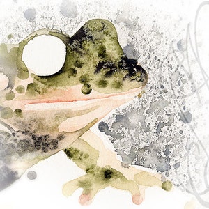 Puede incluir: Pintura a la acuarela del perfil de una rana, con tonos verdes, marrones y melocot&oacute;n. El ojo de la rana es un gran c&iacute;rculo blanco. El fondo tiene salpicaduras grises y l&iacute;neas grises tenues.