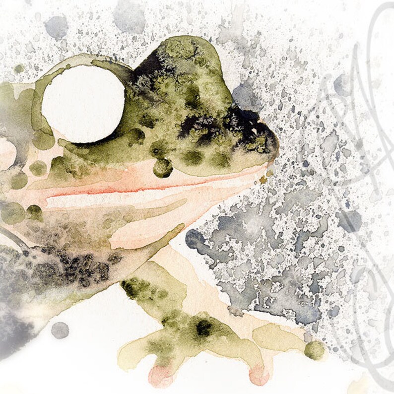 Puede incluir: Pintura a la acuarela del perfil de una rana, con tonos verdes, marrones y melocot&oacute;n. El ojo de la rana es un gran c&iacute;rculo blanco. El fondo tiene salpicaduras grises y l&iacute;neas grises tenues.