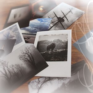 May include: A collection of black and white art prints featuring various landscape and nature scenes. Images include a ship's mast, an elephant, a beach, and a foggy forest. The prints are displayed on a wooden surface.