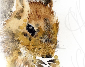 Martinefa's Original watercolor and Ink "Baby Squirrel"