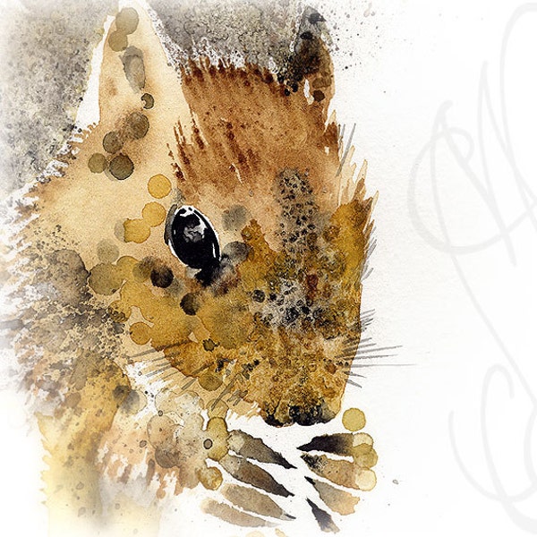 Martinefa's Original watercolor and Ink "Baby Squirrel"