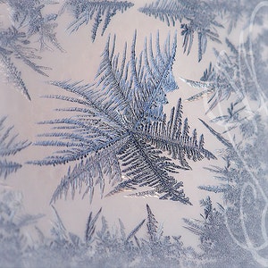 &quot;Kunstfotografie &quot;&quot;Fleurs de Givre #1&quot; (Eisblumen) - 8x10 ( 20 x 27 cm) - Dekoration für das Zuhause.&quot;
