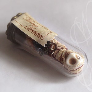 Delicate lucky charm curiosity in reliquary « Momie Antidote » Antidote Mummy – Macabre Art Sculpture | Handmade Curiosity Cabinet Oddity