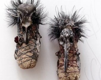Duo de curiosités en reliquaires "Momies Animalières - Corbeau & Colibri"