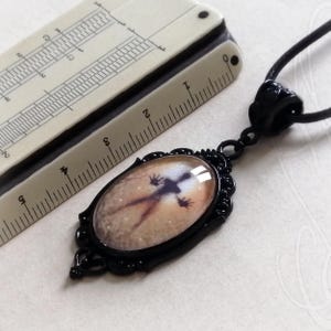 Puede incluir: Collar con colgante negro con un colgante ovalado con una imagen de silueta. El colgante est&aacute; enmarcado en un marco negro y adornado y cuelga de un cord&oacute;n negro. El fondo es de color beige claro.