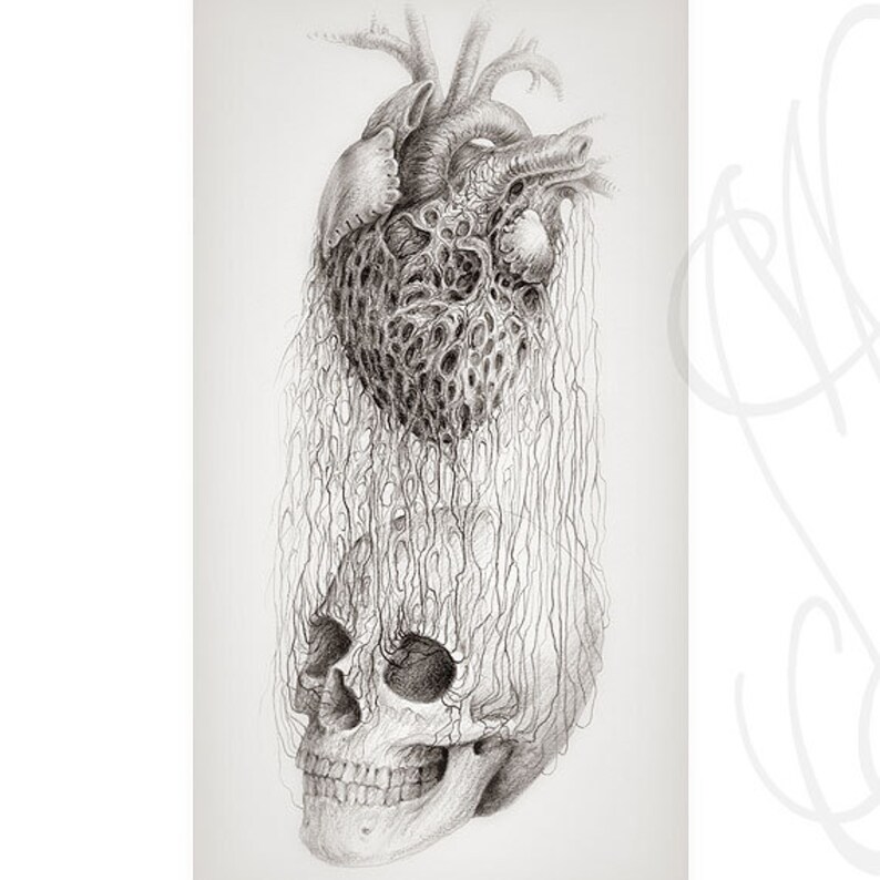 Pu&ograve; includere: Un disegno a matita dettagliato raffigura un cuore umano sopra un teschio. Il cuore &egrave; reso in modo intricato con un aspetto poroso e strutturato, collegato al teschio da linee fluide, simili a vene. L'opera &egrave; monocromatica.