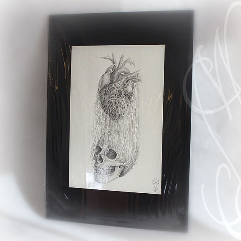 Pu&ograve; includere: Opera d'arte incorniciata in bianco e nero. Il disegno a matita raffigura un cuore umano sopra un teschio, collegati da linee. L'opera dettagliata &egrave; presentata in una cornice nera. Ha un tema gotico o macabro.