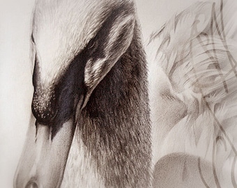 Disegno originale di Martinefa presentato in cornice personalizzata a mano - "Obscure blancheur"