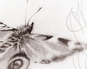 Martinefa's original drawing presented in hand personalised frame - Butterfly "Frivole"