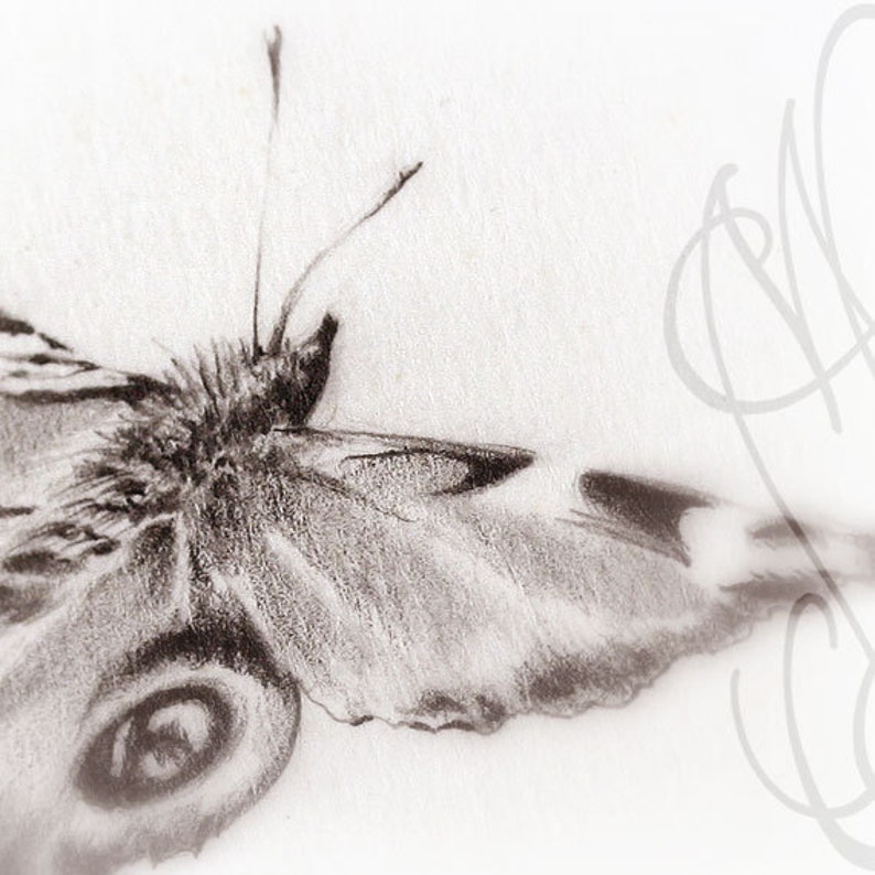 Martinefa's original drawing presented in hand personalised frame Butterfly Frivole image 1