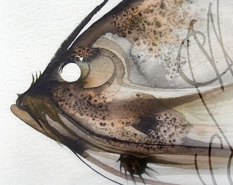 Original Aquarell und Tinte von Martinefa, präsentiert in einem handpersonalisierten Rahmen - "Fish"