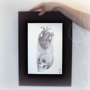 Pu&ograve; includere: Un disegno a matita incorniciato con un cuore anatomico dettagliato sopra un teschio. Il cuore e il teschio sono collegati da linee fluenti, creando un'estetica surreale e gotica. L'opera d'arte &egrave; esposta in una cornice nera.