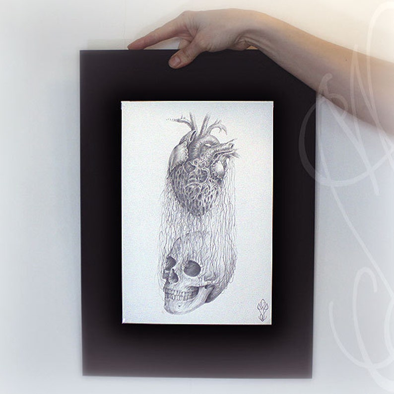 Pu&ograve; includere: Un disegno a matita incorniciato con un cuore anatomico dettagliato sopra un teschio. Il cuore e il teschio sono collegati da linee fluenti, creando un'estetica surreale e gotica. L'opera d'arte &egrave; esposta in una cornice nera.