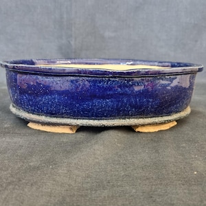 May include: A deep blue ceramic bonsai pot with a textured, speckled glaze. The oval-shaped container has a raised rim and sits on small, unglazed feet. The interior is a light beige colour.