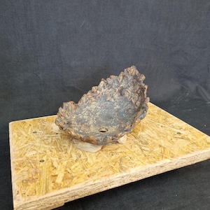 May include: A handcrafted ceramic bowl with an organic shape and a textured, dark brown exterior and a lighter interior. The bowl sits on a wooden board, showcasing its rustic design. The bowl has a small hole.