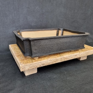 May include: A black rectangular bonsai pot with a textured surface sits on a wooden platform. The pot has a light-coloured interior and is elevated on a natural wood base, showcasing a minimalist design.