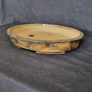 May include: An oval ceramic bonsai pot with a tan interior and a mottled brown and tan exterior glaze. The rim features a dark blue-green accent, and the base includes small feet and drainage holes for plant cultivation and moisture control.