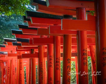 根津神社の鳥居参道写真、東京、日本、文化的風景プリント（デジタルダウンロード）