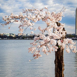 Può includere: Set di tre tazze in ceramica con finitura opaca e macchiettata. Le tazze sono nei toni del crema, grigio chiaro e grigio scuro. Ogni tazza ha un design semplice e minimalista.