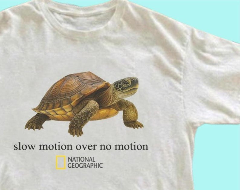 May include: A white t-shirt featuring a graphic of a brown turtle. Below the turtle, the text reads "slow motion over no motion" in black, followed by the yellow and white National Geographic logo.