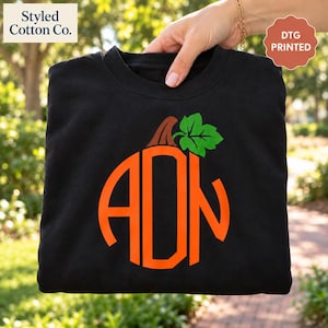 May include: A black crewneck sweatshirt featuring a large orange pumpkin graphic on the front. The pumpkin is shaped like a circle and contains the letters A, D, and N in a bold, sans-serif font. A small brown stem and a green leaf are attached.