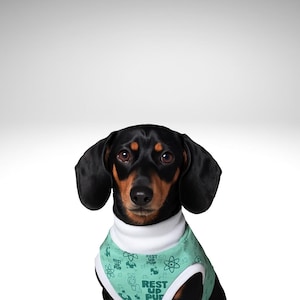 Miniature Dachshund Dog Surgery Suit | Bamboo Post Op Recovery Wear | BreedFit®
